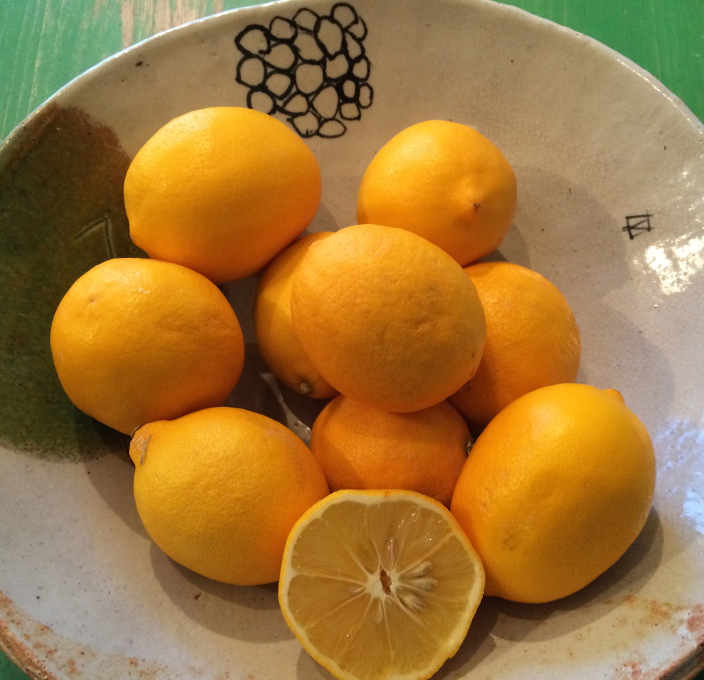 Meyer Lemons in a Bob Brady bowl.